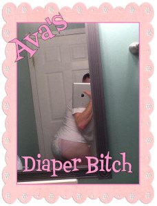 diaper bitch 228x300 1