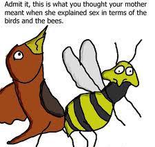 This picture shown as Bird With Bees