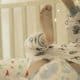abdl-adult-diaper-change